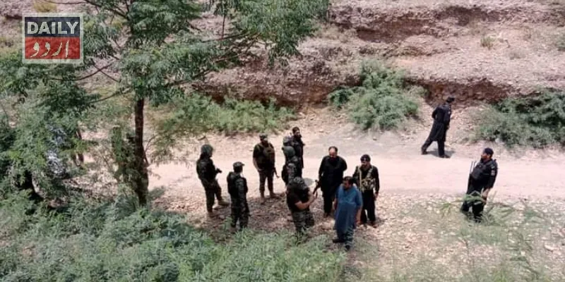 دہشتگردی