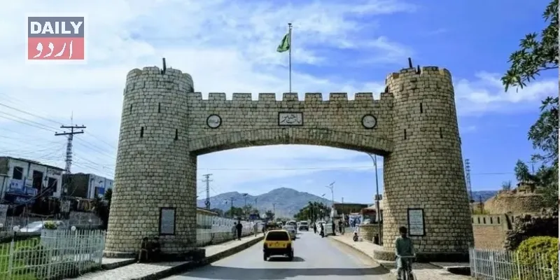 دہشتگردی