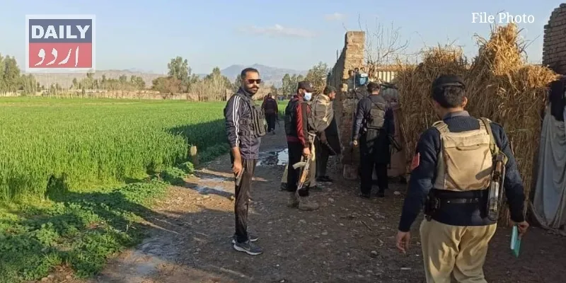 دہشتگردی