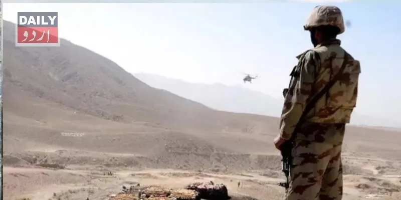 دہشتگردی