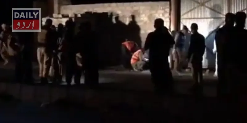 دہشتگردی