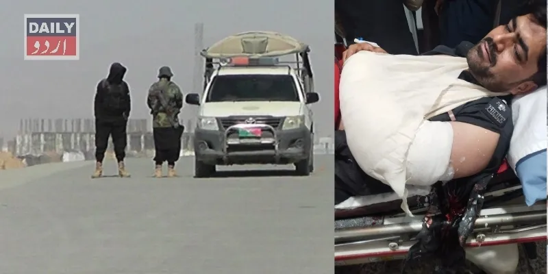 دہشتگردی