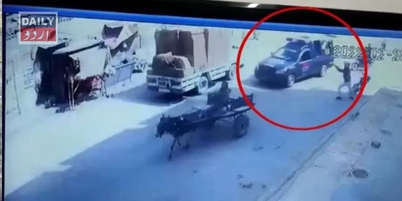 دہشتگردی