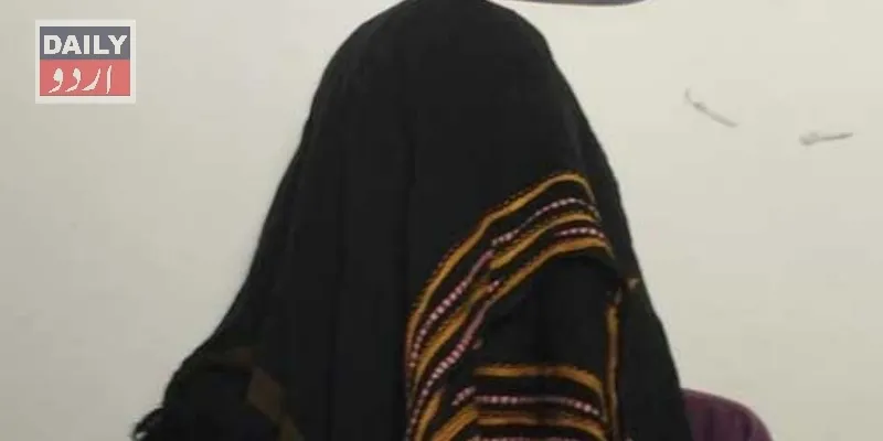 دہشتگردی