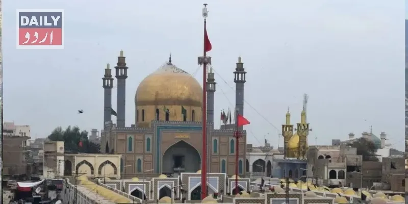 کورٹس