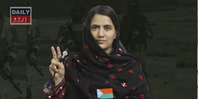 دہشتگردی