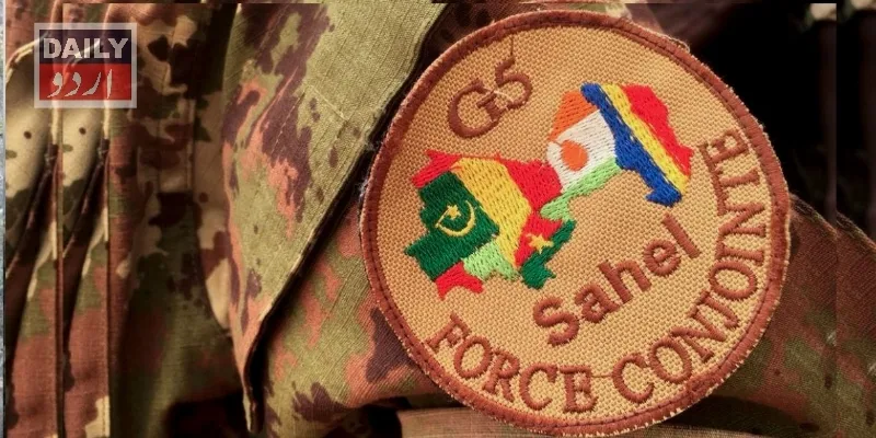 دہشتگردی