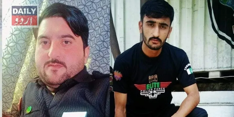 دہشتگردی