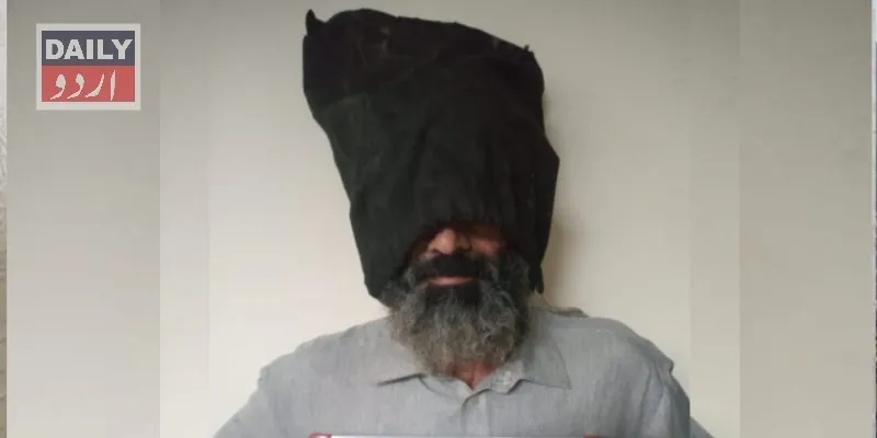 دہشتگردی