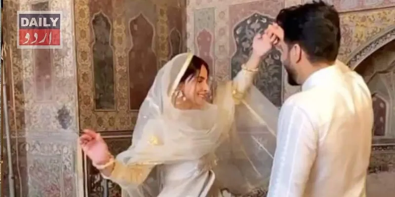 کورٹس