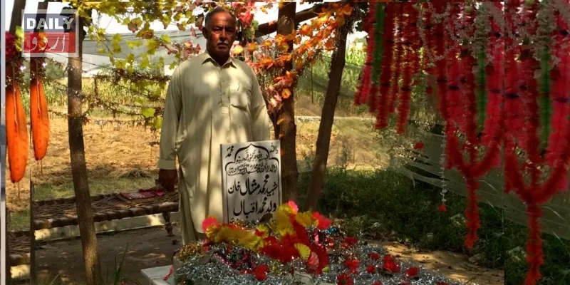تعلیم