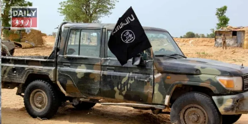 دہشتگردی