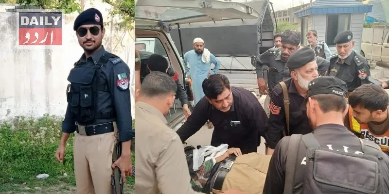 دہشتگردی
