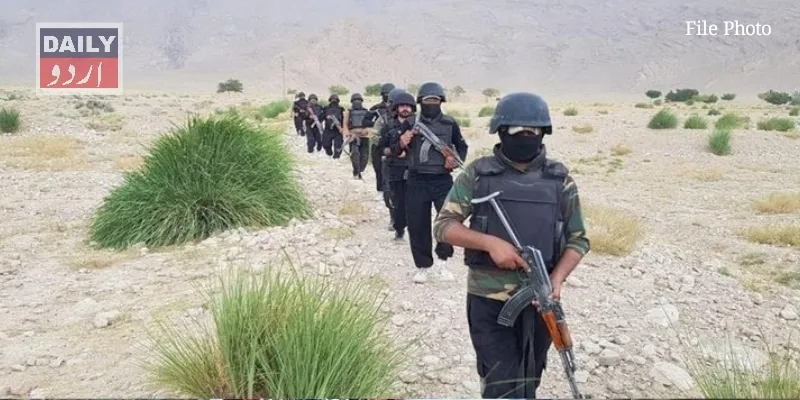 دہشتگردی