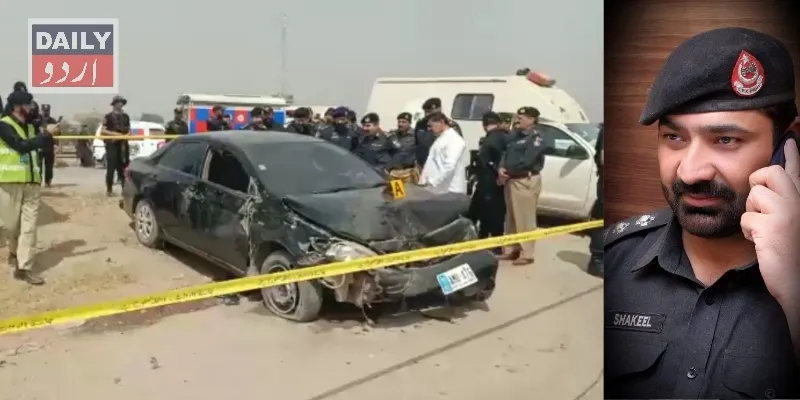 دہشتگردی