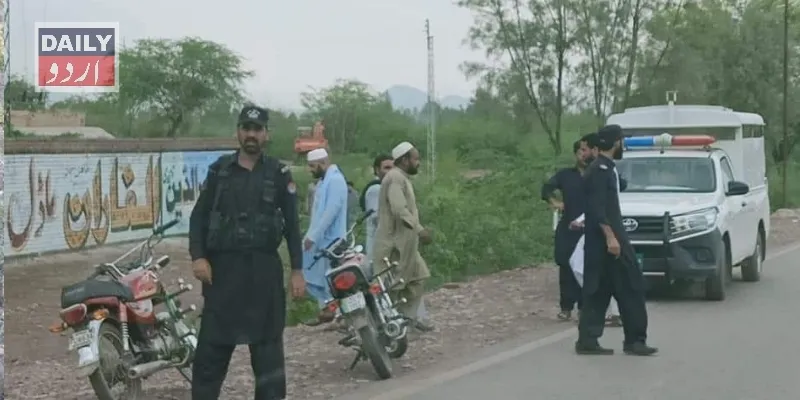 دہشتگردی