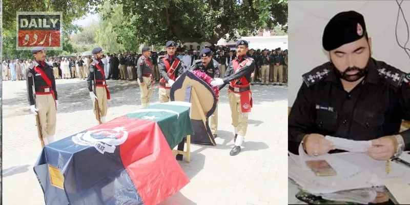 دہشتگردی
