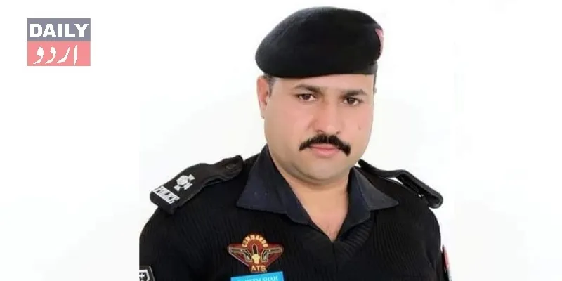 دہشتگردی