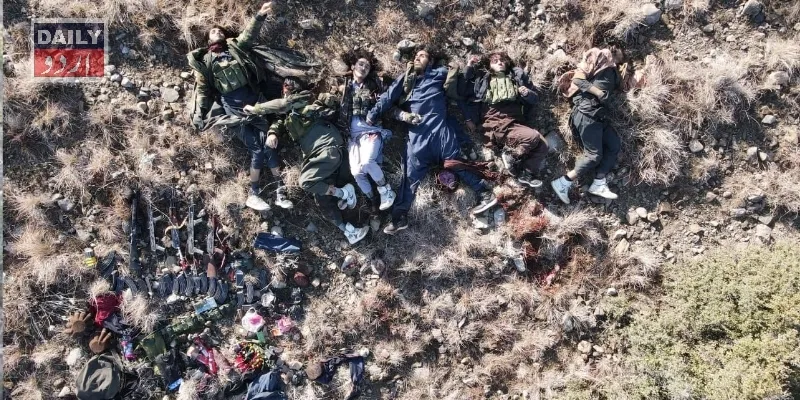 دہشتگردی
