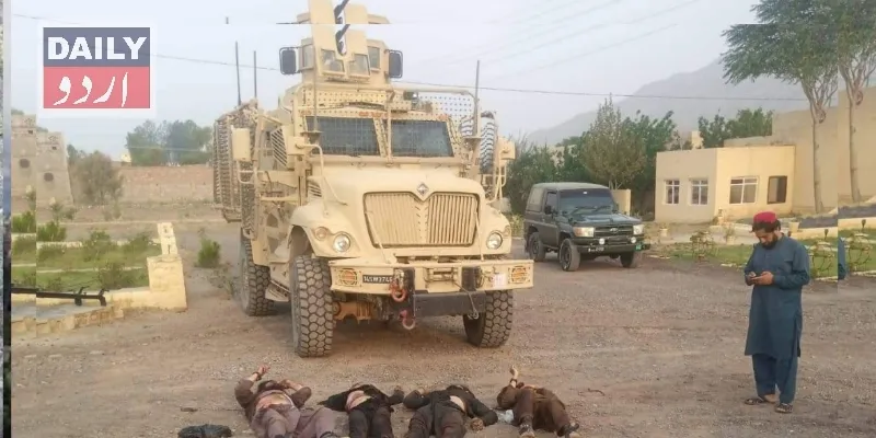 دہشتگردی