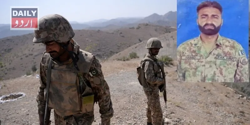 دہشتگردی