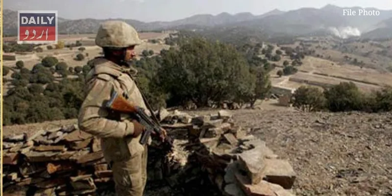 دہشتگردی