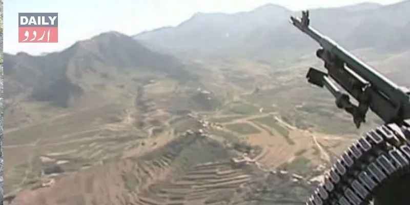 دہشتگردی