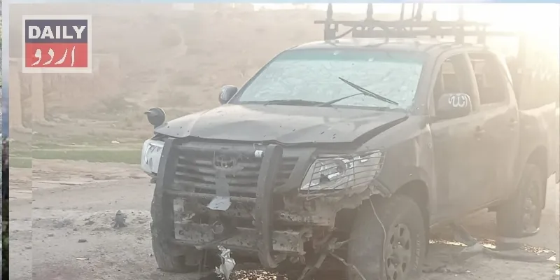 دہشتگردی