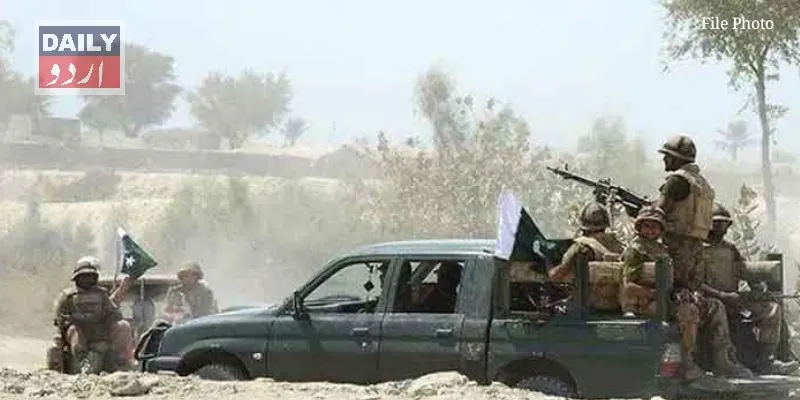 دہشتگردی
