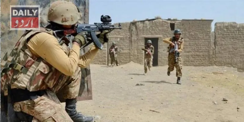 دہشتگردی