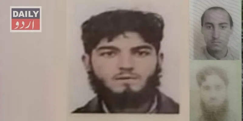 دہشتگردی
