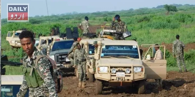 دہشتگردی