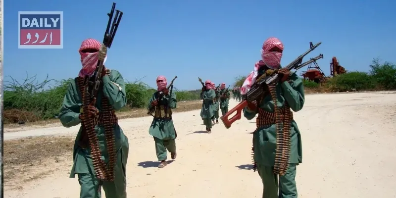 دہشتگردی