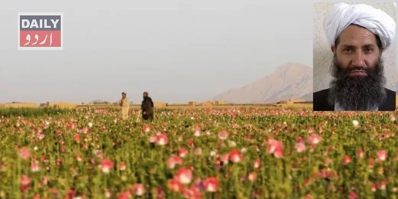کاروبار