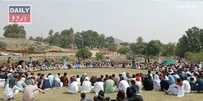 دہشتگردی