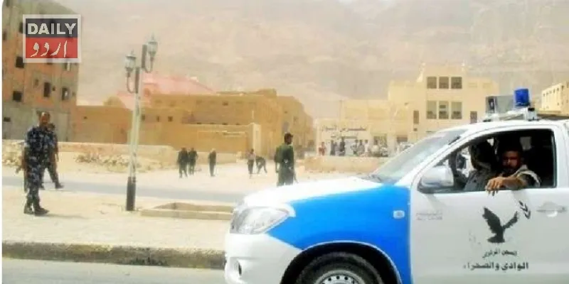 دہشتگردی