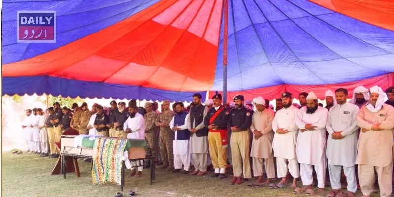 دہشتگردی