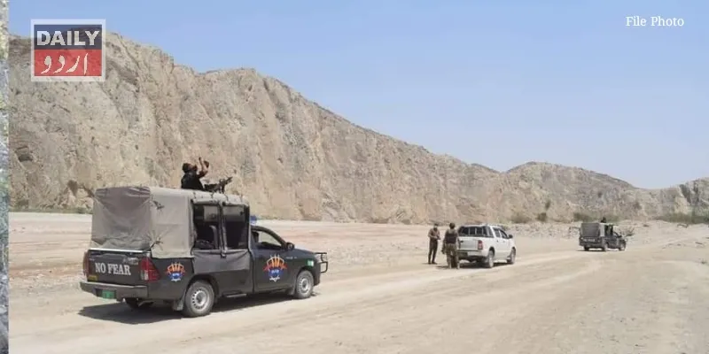 دہشتگردی