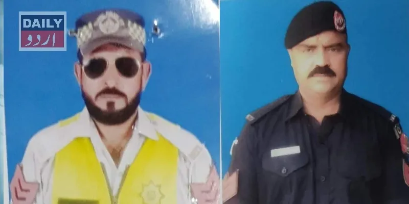 دہشتگردی
