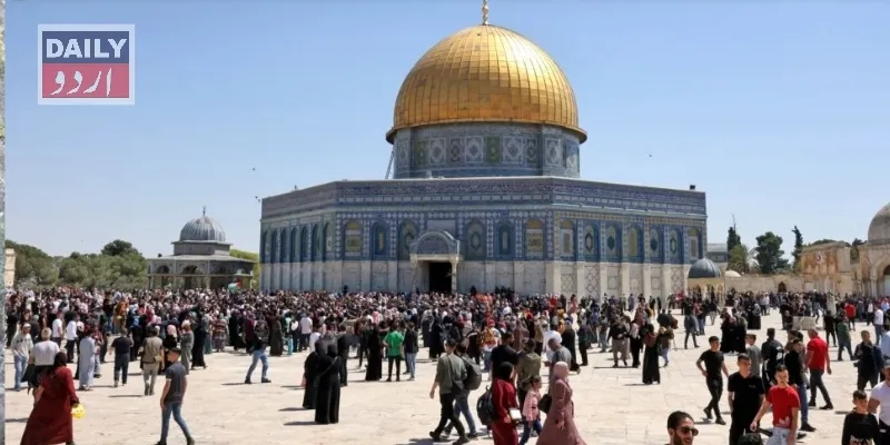 کرائمز