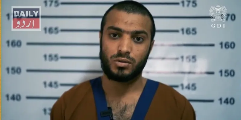 دہشتگردی