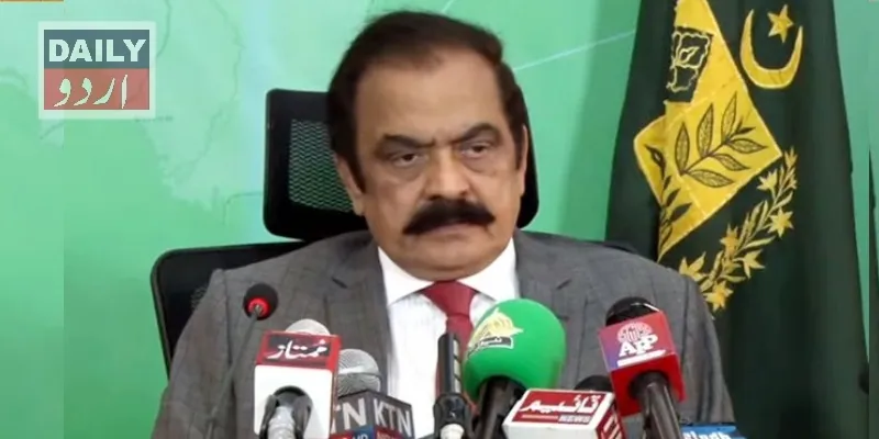 سیاست