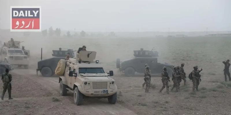 دہشتگردی