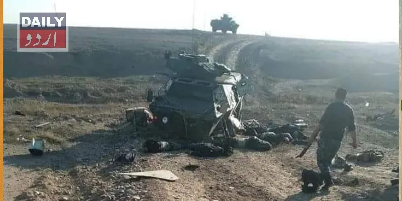 دہشتگردی