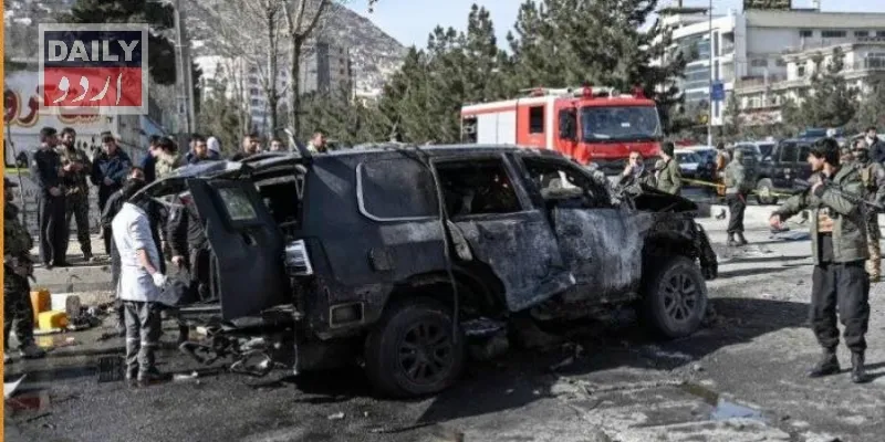 دہشتگردی