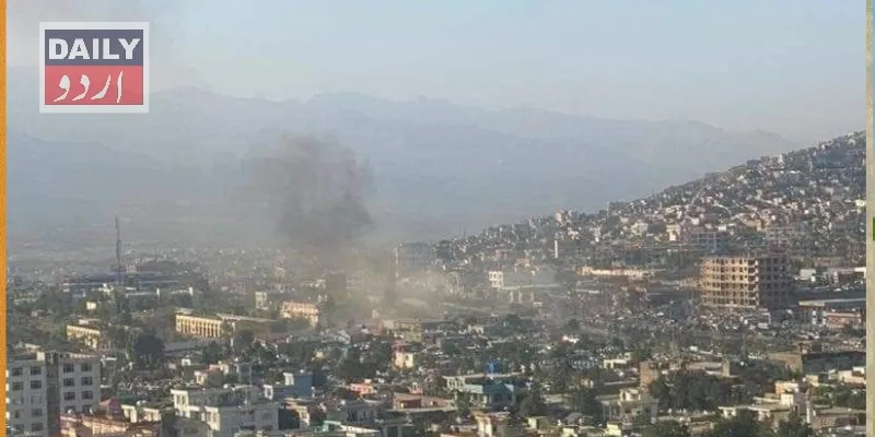 دہشتگردی