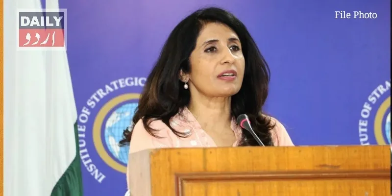 دہشتگردی