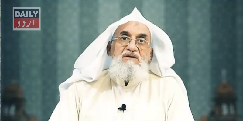دہشتگردی