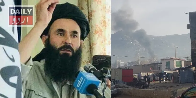 دہشتگردی