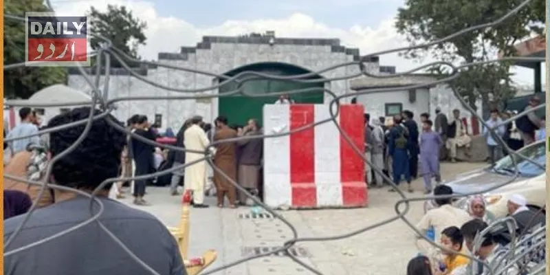 دہشتگردی
